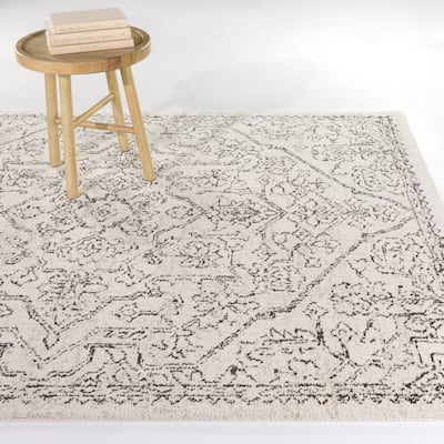 Aleksis Oriental Medallion Area Rug