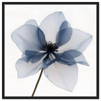Morning Petalia II Canvas by Art Remedy