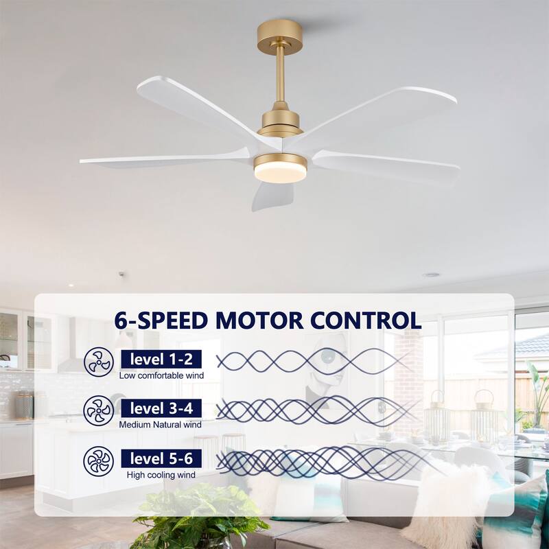 52" Ceiling Fans With Lights and Remote Control, Dimmable LED, 5 Solid Wood Blades,for Bedroom, Living Room - 52 Inches