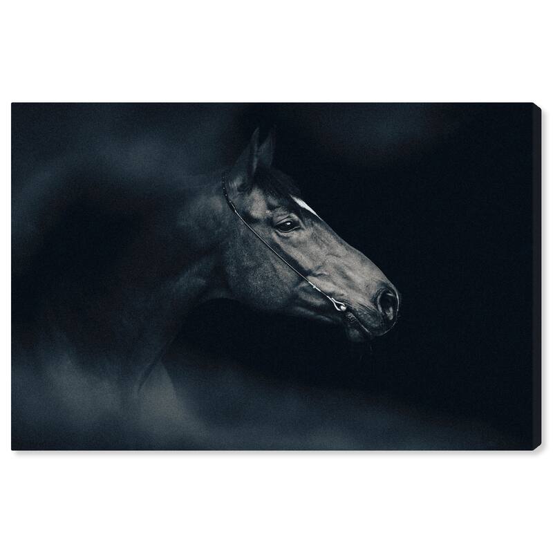 Wynwood Studio Canvas Animals Has to be to Win Black and Modern & Contemporary Wall Art Canvas Print