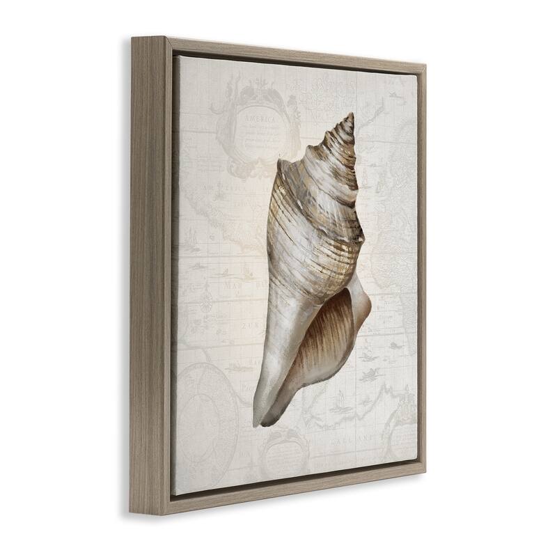 Stupell Conch Shell over Vintage Map Framed Floater Canvas Wall Art Design By Conrad Knutsen