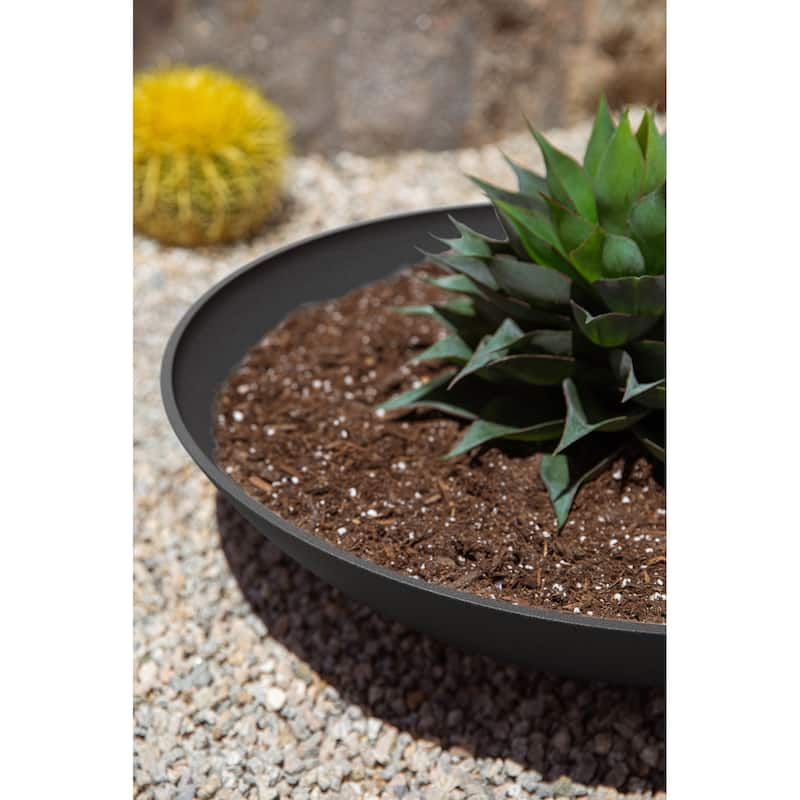 Veradek Pure Series Lane Bowl