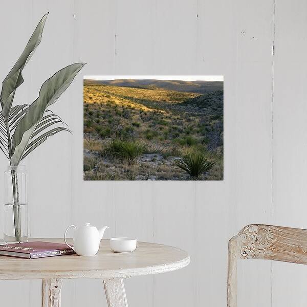 Shop Desert Landscape With Sotol Plants Walnut Canyon Carlsbad