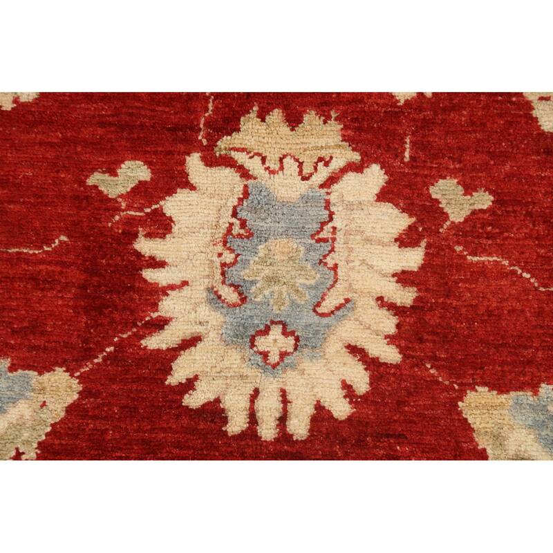 Vegetable Dye Floral Ziegler Oriental Wool Area Rug Handmade Carpet - 10'1" x 13'8"
