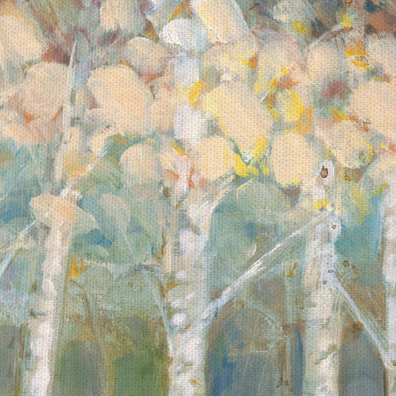 Nature's Palette I by Ruane Manning Canvas Art Print