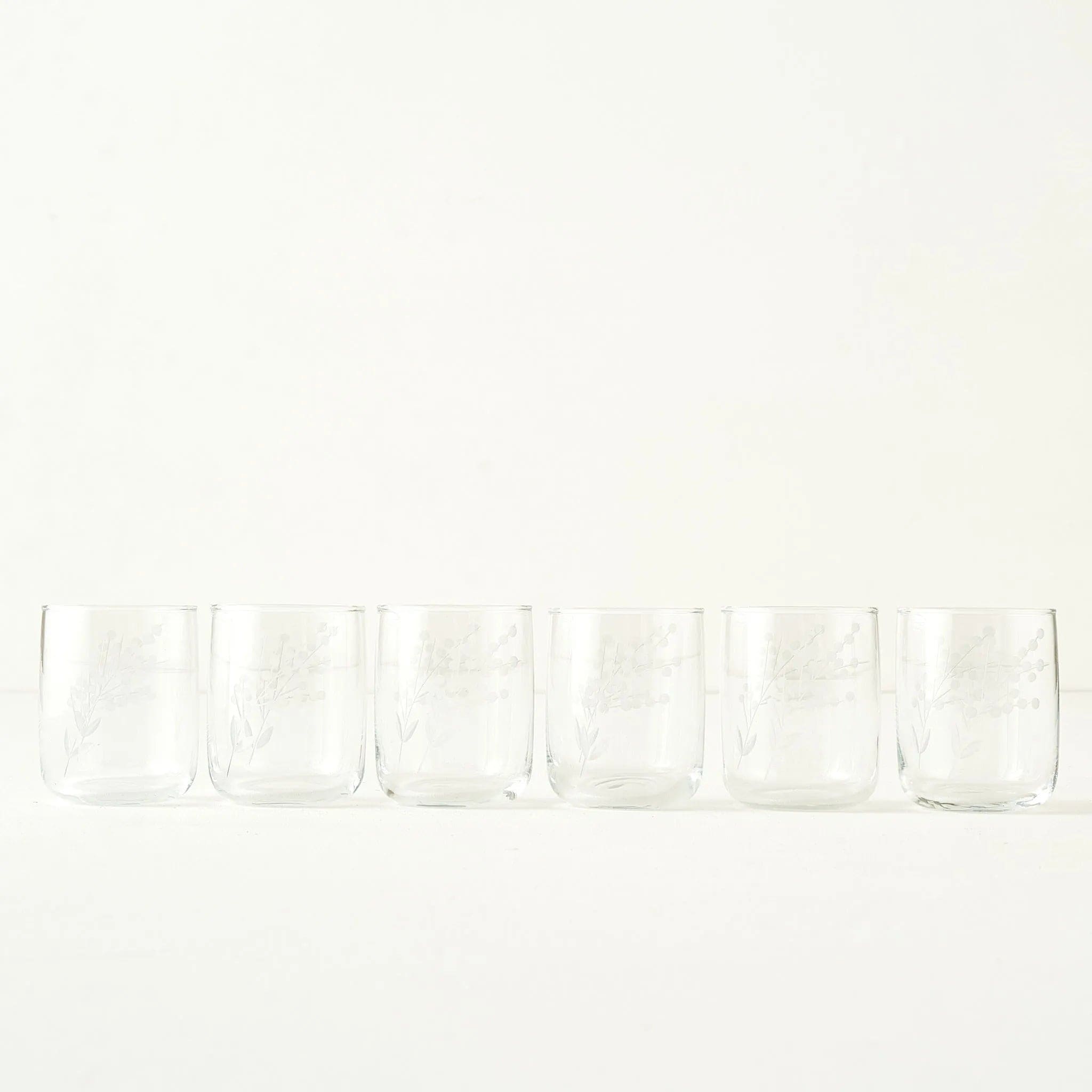 Exclusive Floral Etched Tumbler (Set of 6)