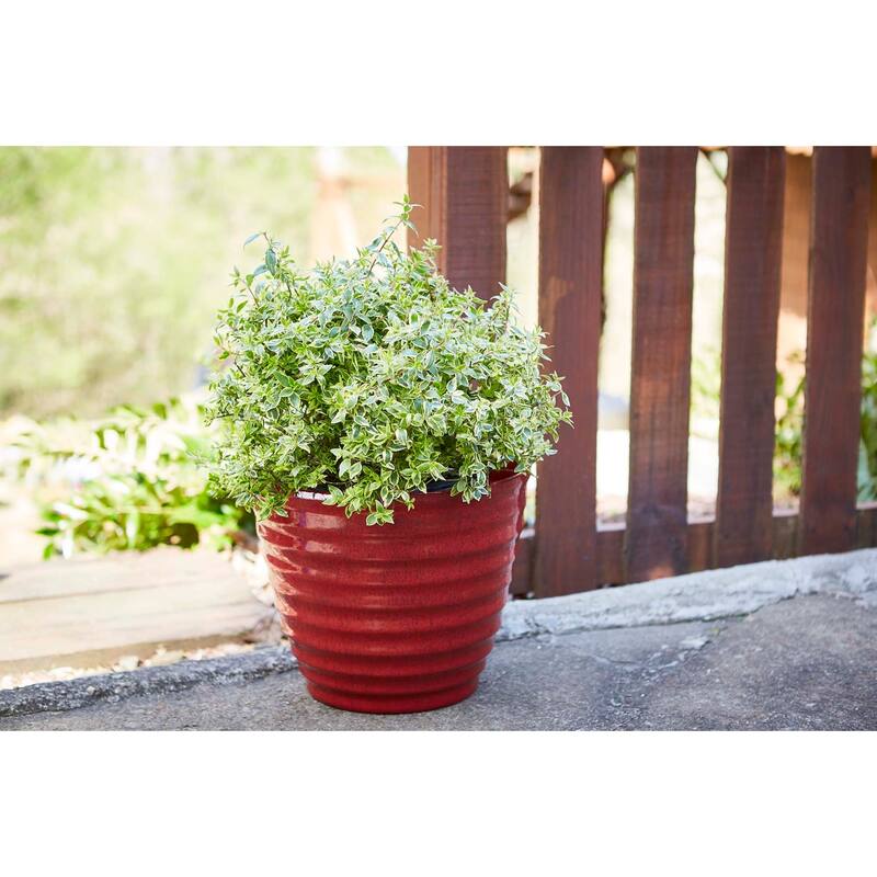 Southern Patio Beehive Planter
