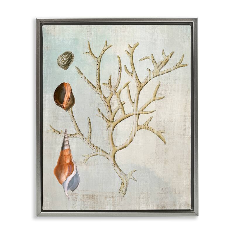 Stupell Seashells and Coral Branch Framed Floater Canvas Wall Art Design By Susan Arnot - 17 x 21 - Grey