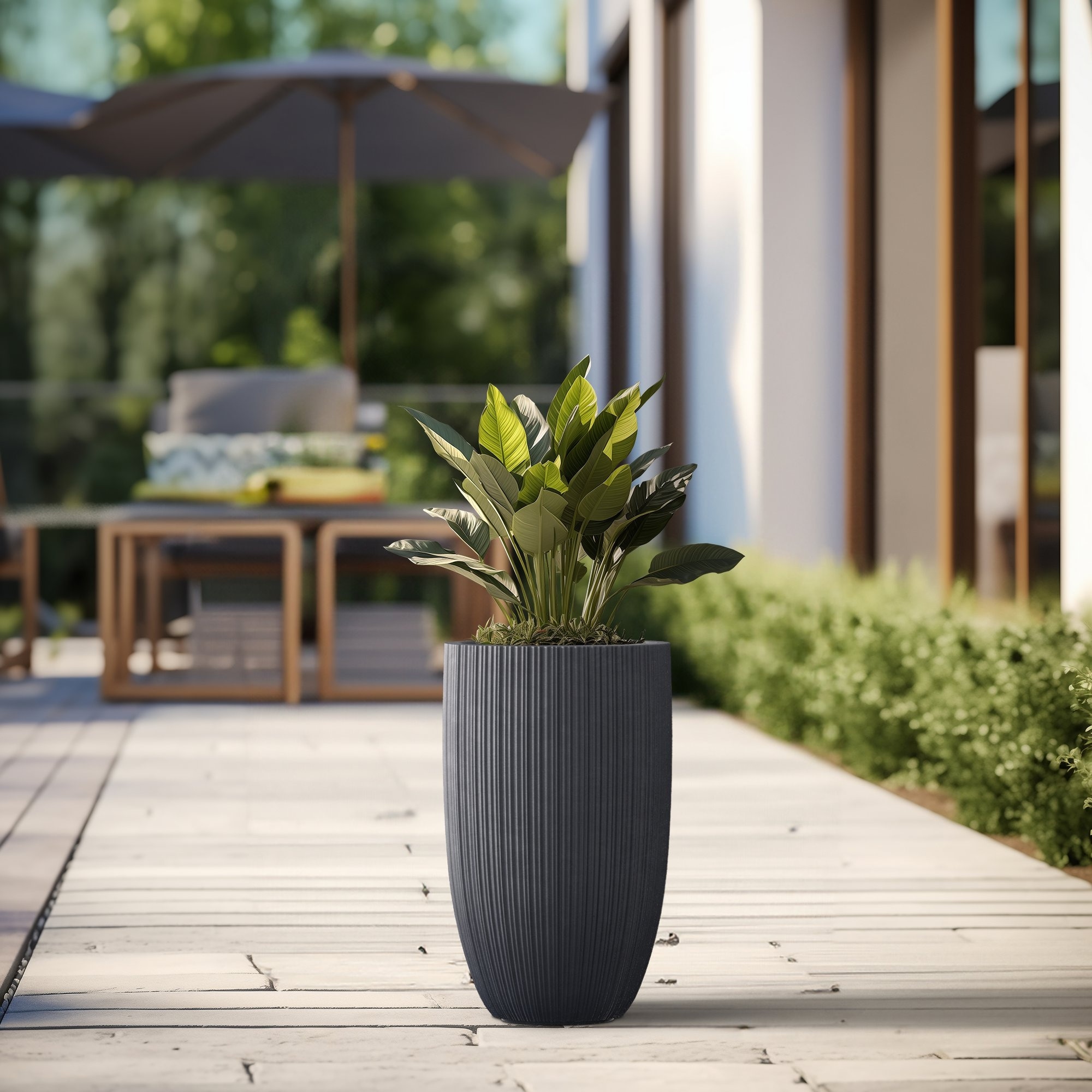 Planter Pots - Bed Bath & Beyond - Textured Planters For Modern Homes Inspiration