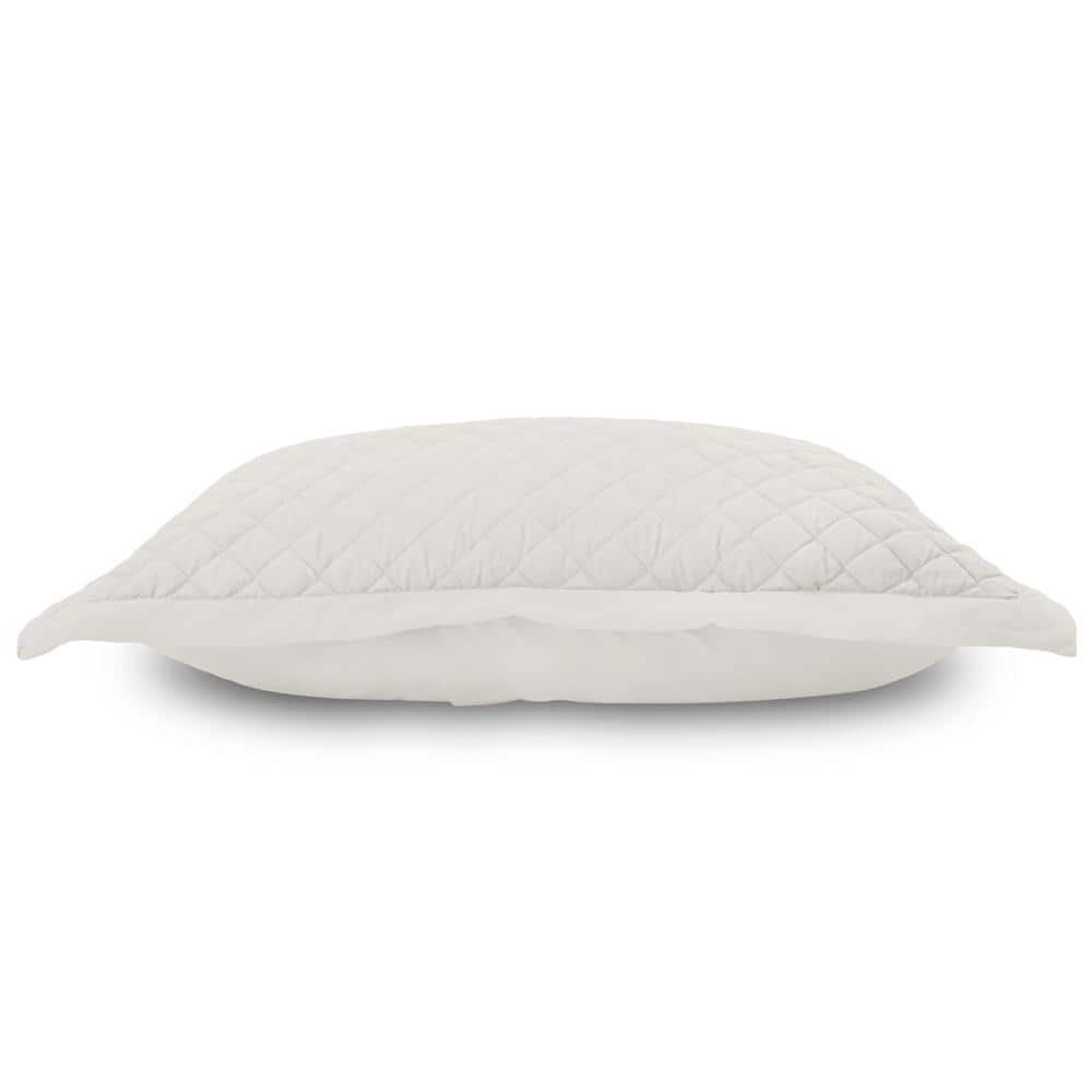 Option Ivory