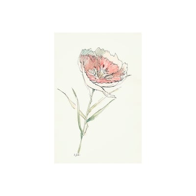 Dianthus II (20 x 30) Canvas Art Print