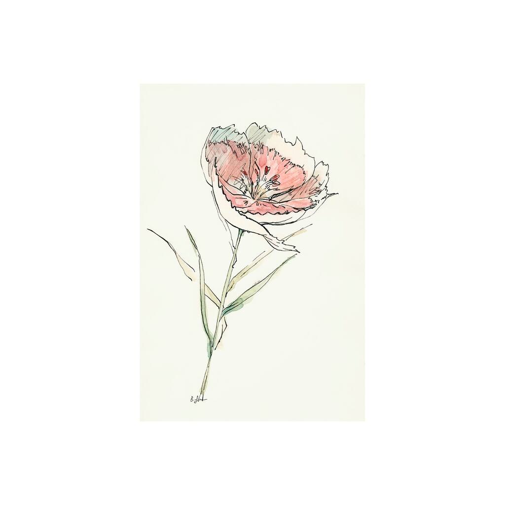 Dianthus II (20 x 30) Canvas Art Print