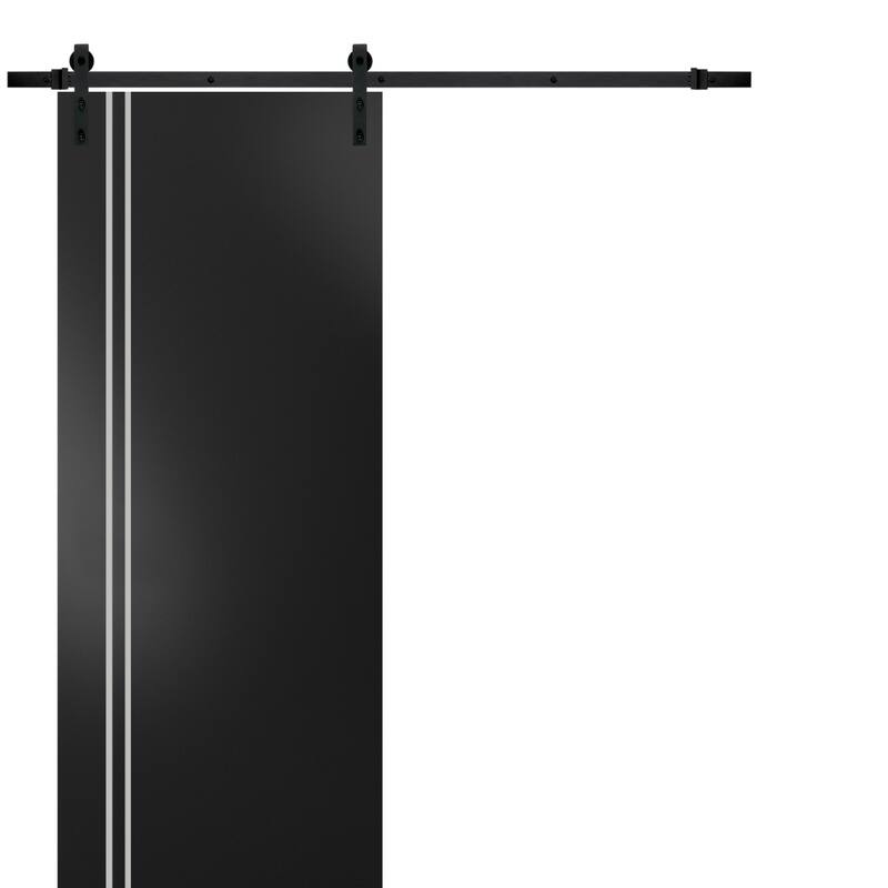Double Bi-fold Doors Planum 0210 Matte Black with Sturdy Tracks - Black - 32" x 96"