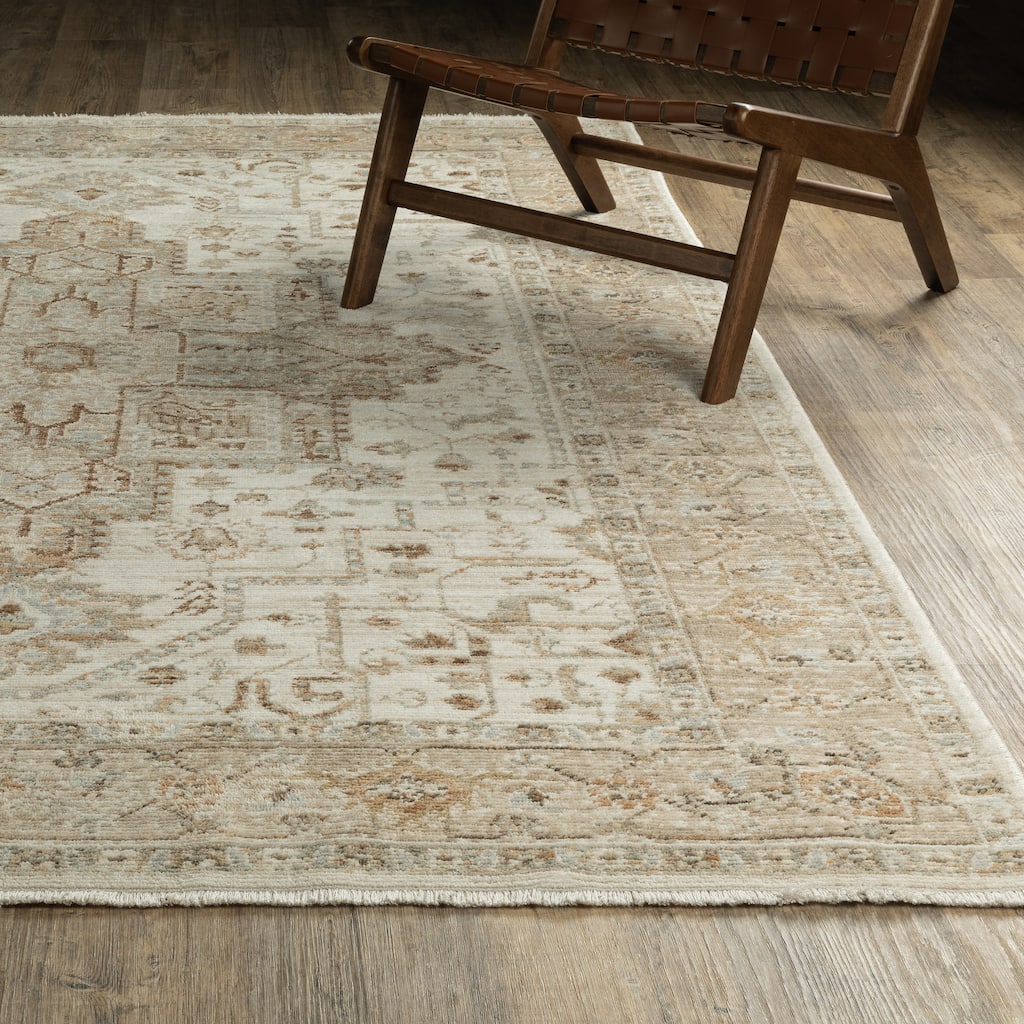 Style Haven Lucia Vintage Center Medallion Area Rug