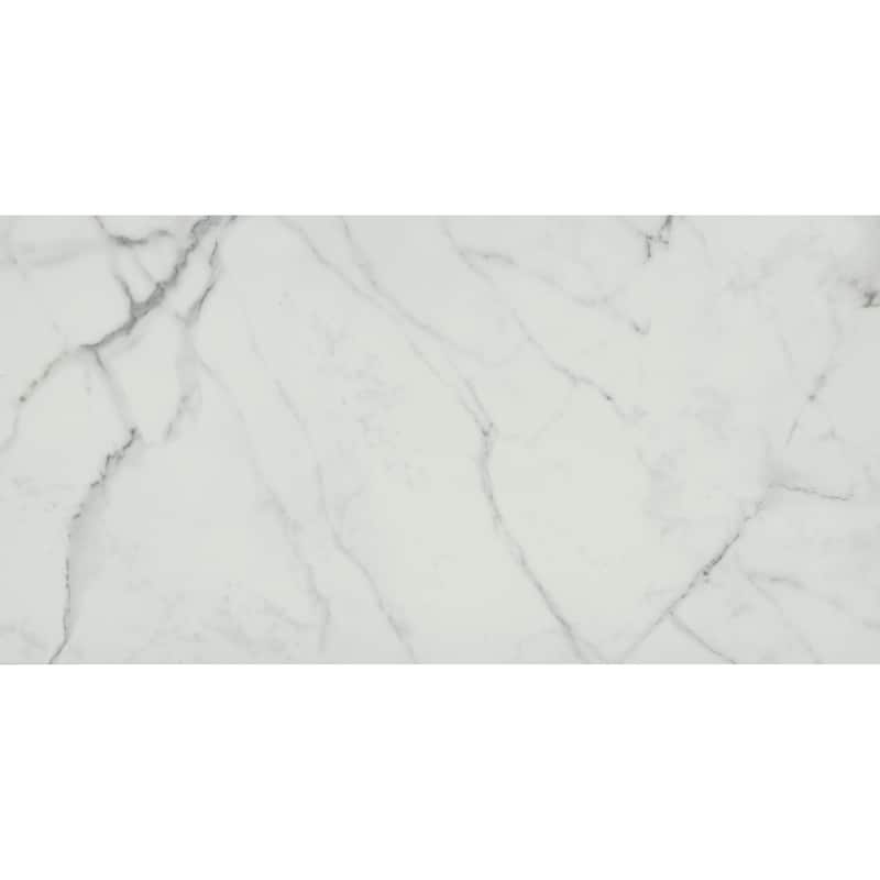 Emser Tile A86PARK1224P Parkview - 12" x 24" Rectangle Floor and Wall