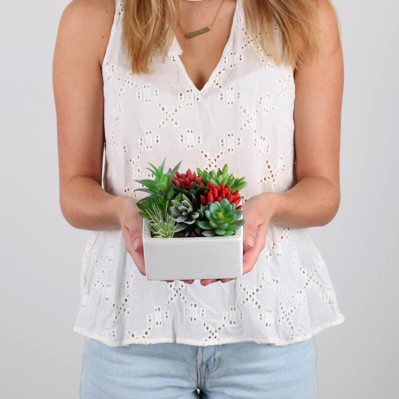 Succulent Garden - Mini - Tucson - 1 Pack