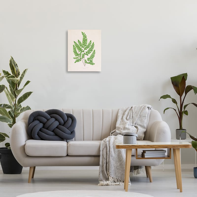Stupell Woodland Sprigs Study Canvas Wall Art Design By Phillipa Katz