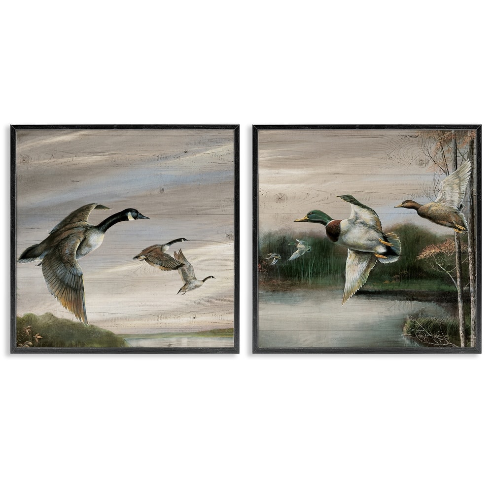 Stupell Geese & Ducks in Nature Framed Giclee Art Design By Ruane Manning (Set of 2)