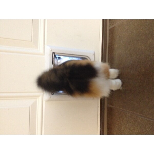 trixie 4 way cat door