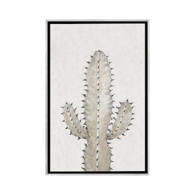 iCanvas "Cactus Study I" by Tim OToole Framed