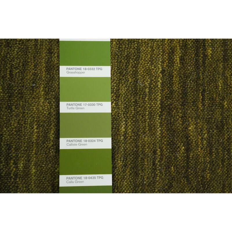 Hand Knotted Oriental 100% Wool Carpet Tribal Animal Pictorial Green Gabbeh Area Rug - 5' 11'' X 5' 10''
