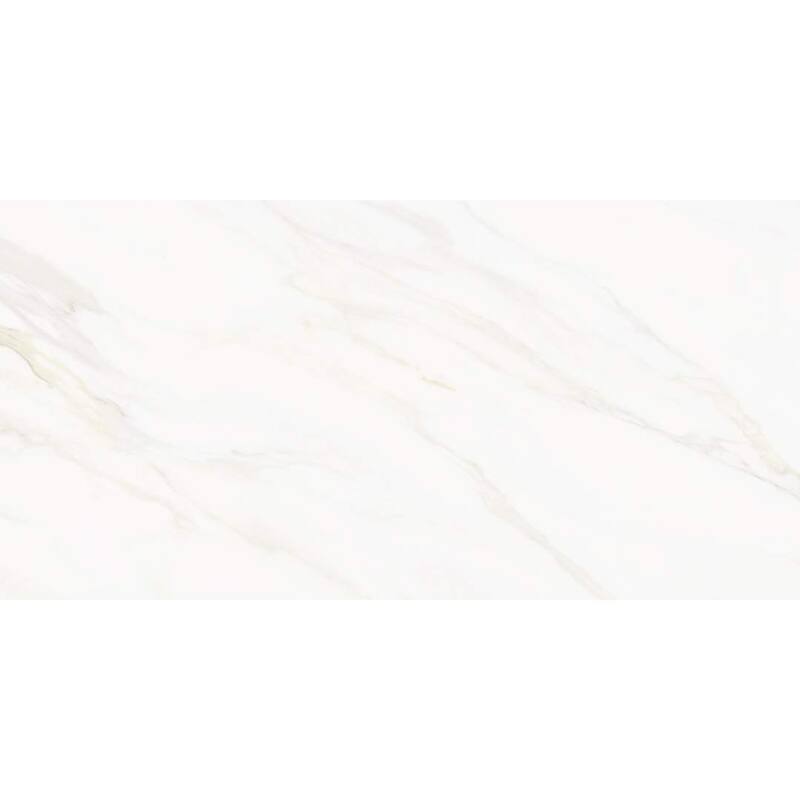 The Tile Life Savannah 24x48 Polished Porcelain Floor & Wall Tile