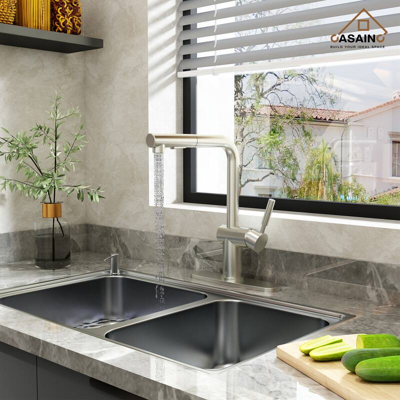 Single Handle Pull Out Sprayer Kitchen Faucet - Chrome/Clear