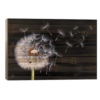 Dandelion Blowing I Print On Wood by Bess Hamiti - Multi-Color