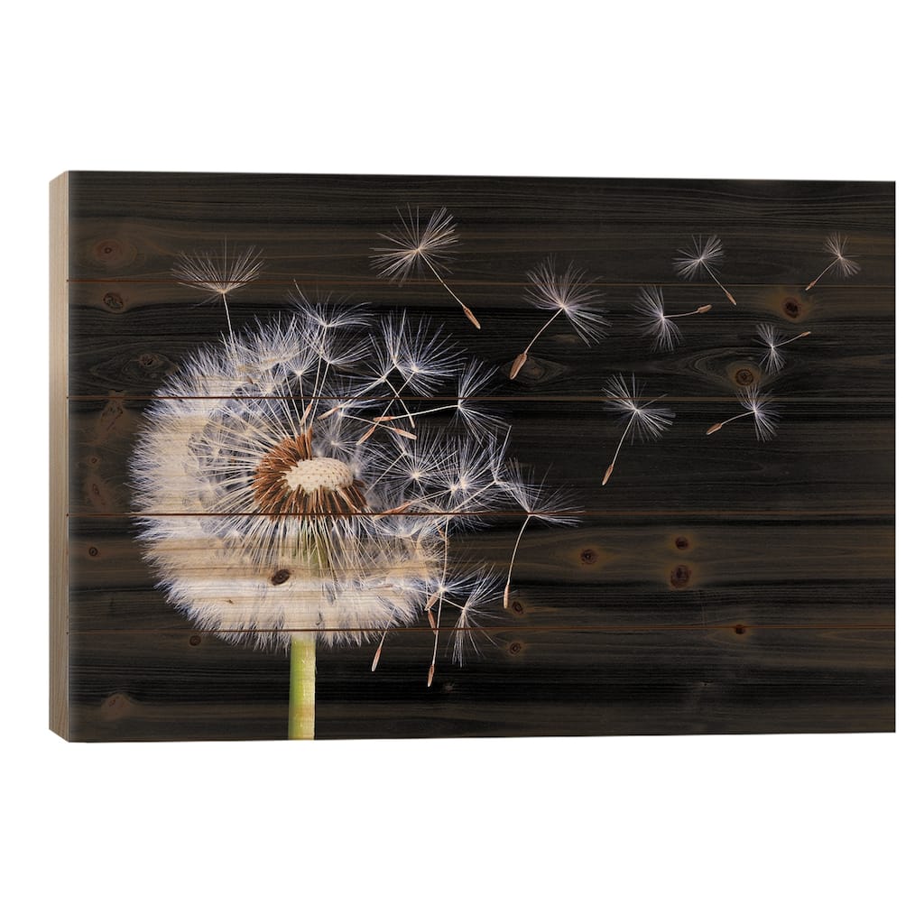 Dandelion Blowing I Print On Wood by Bess Hamiti - Multi-Color