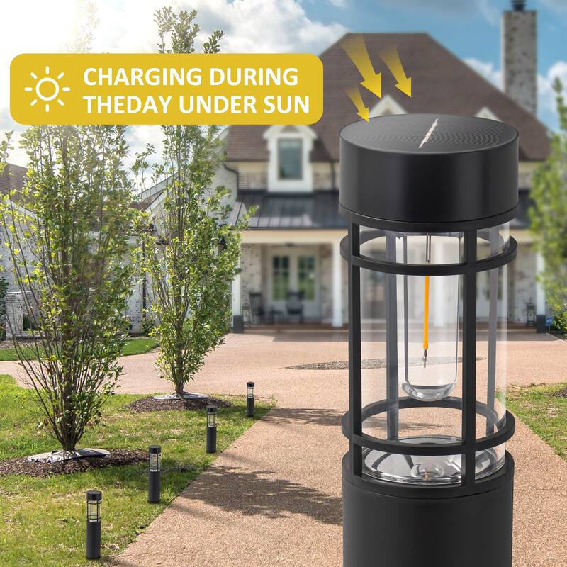 C Cattleya Black Solar LED Outdoor Path Lights (6 Pack or 12 Pack)