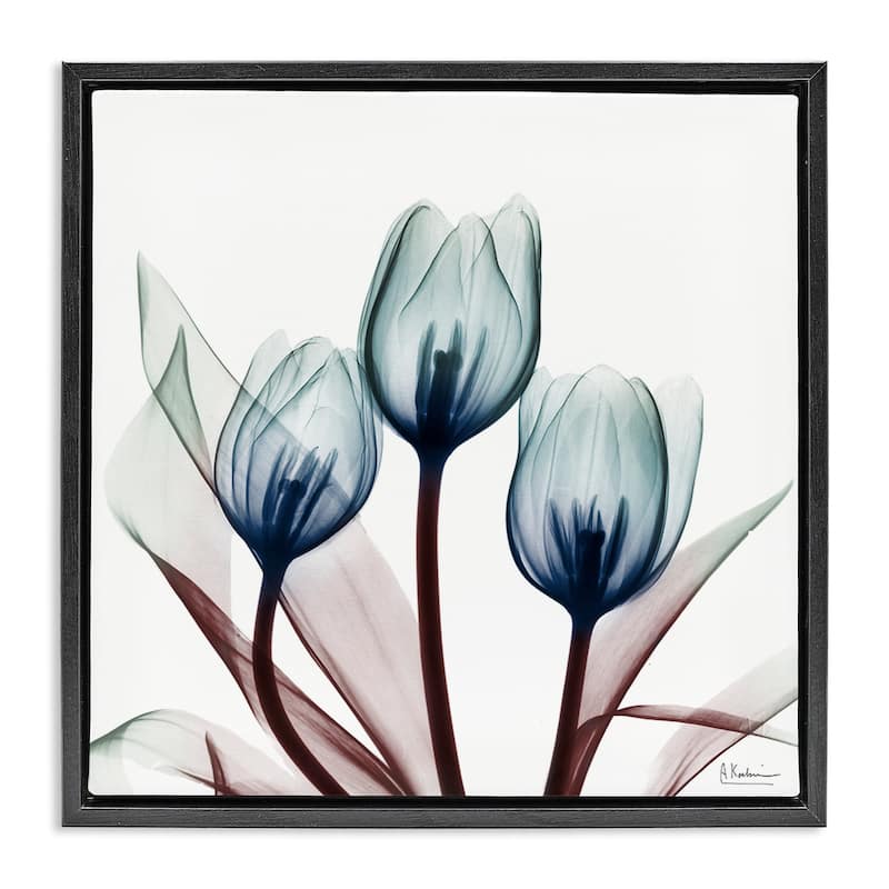 Stupell Chic Blue Translucent Tulips Framed Floater Canvas Wall Art Design By Albert Koetsier - 18 x 18 - Black