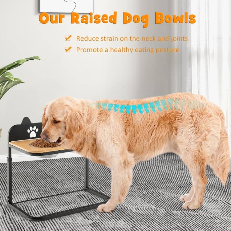 Dog Bowl Stand with 2 Stainless Steel Food Water Bowls - 21'' x 12''x 21'' (L x W x H)