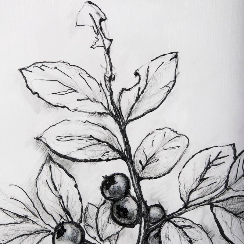 Wildberry Collection Blueberry (36 x 48) Canvas Art Print