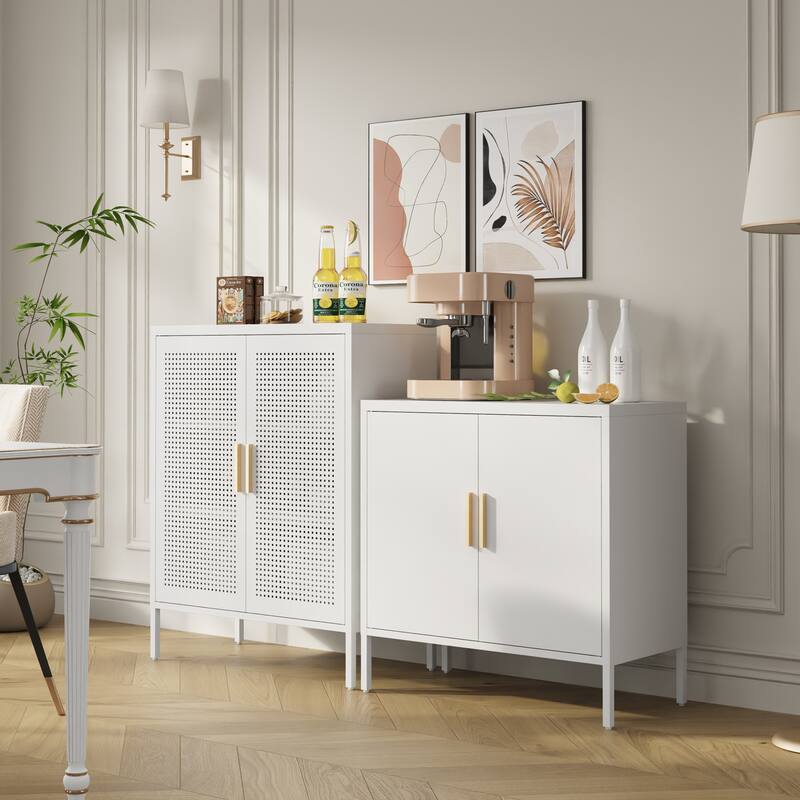 Metal Storage Cabinet with 2 Doors and 2 Adjustable Shelves, Steel Lockable Garage Storage Cabinet