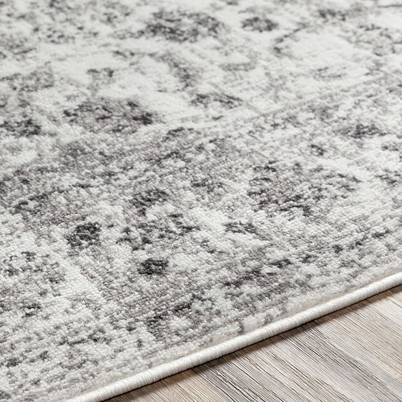 Livabliss Monte Carlo Updated Traditional Medallion Area Rug