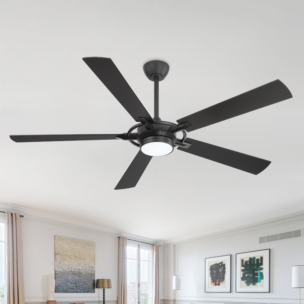 MLiAN 60 In. 5-Plywood Blades Indoor Ceiling Fan with Light Kit and Remote