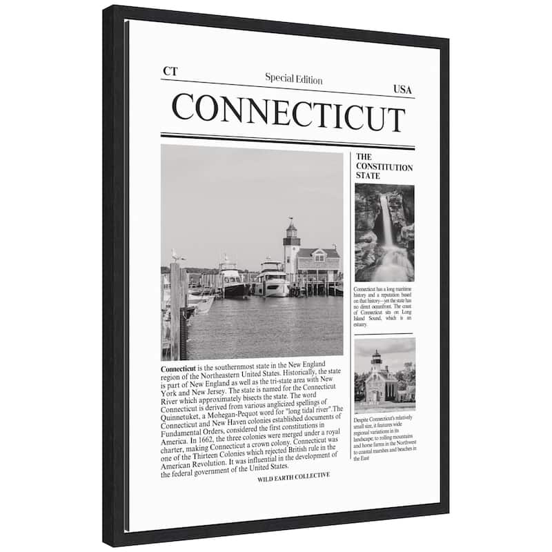 Kate and Laurel Connecticut Article by Megan Ryan Framed Canvas Wall Art Print - 18x24