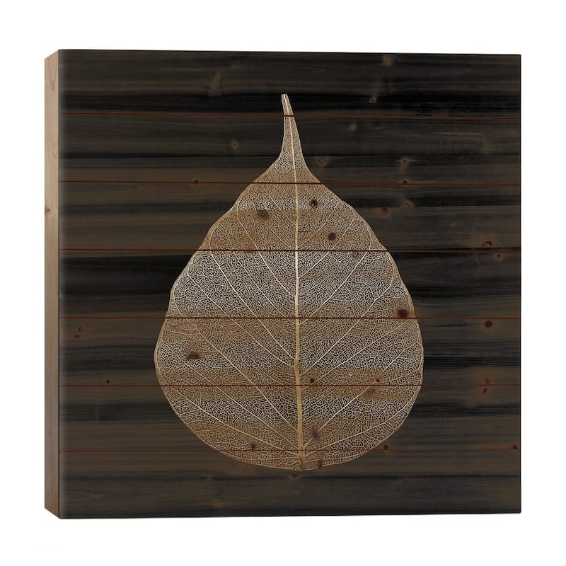 Brown Leaf Print On Wood by PhotoINC Studio - Multi-Color - 26x26x1.5