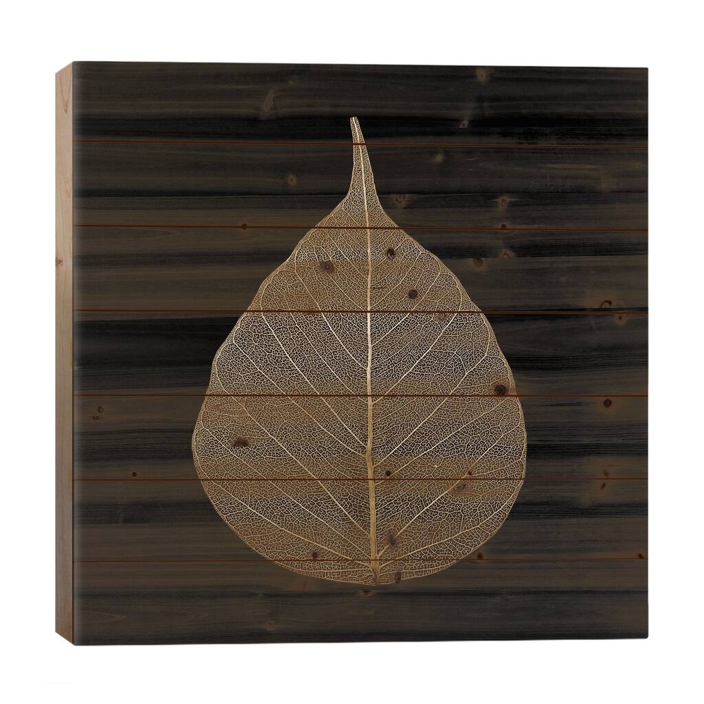 Brown Leaf Print On Wood by PhotoINC Studio - Multi-Color