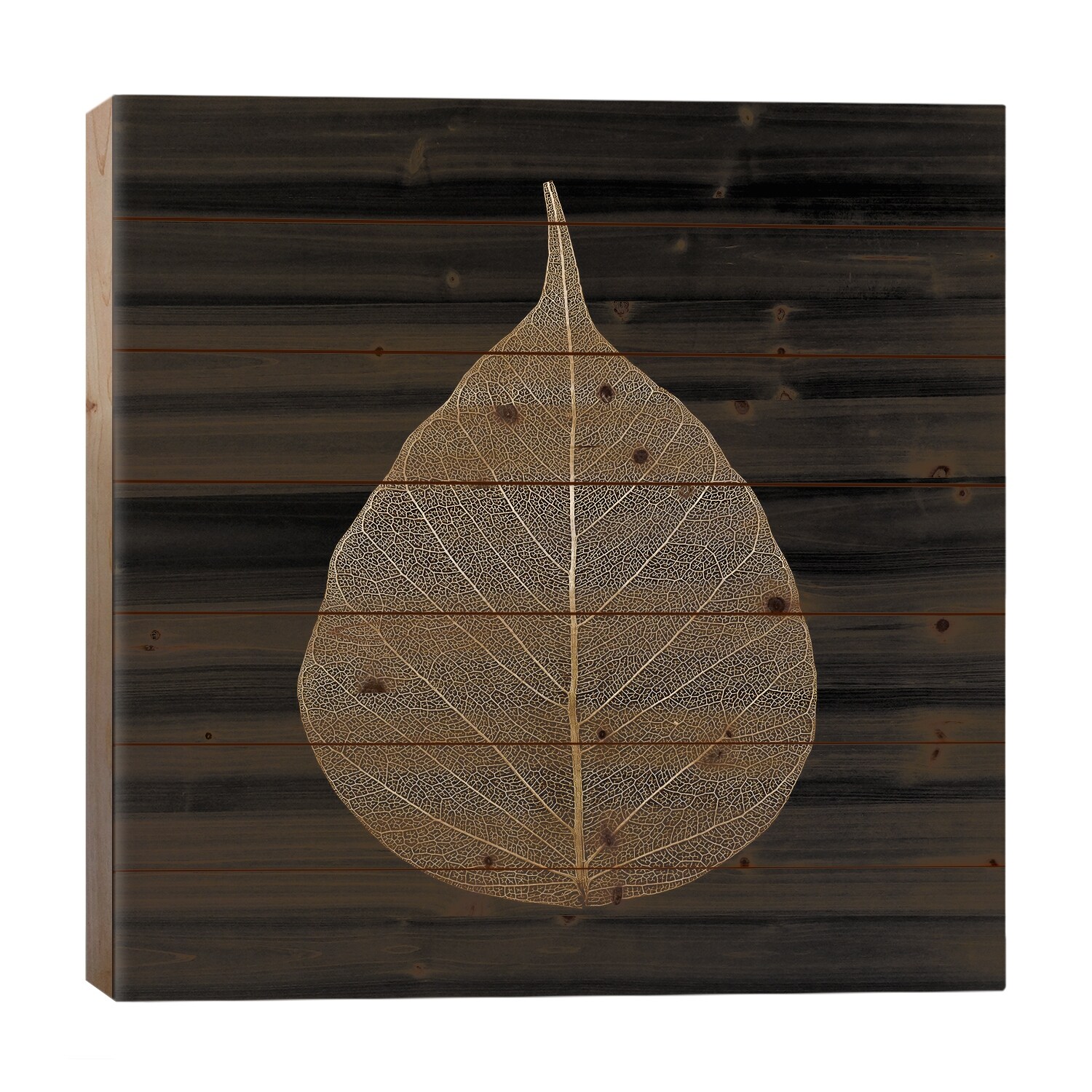 Brown Leaf Print On Wood by PhotoINC Studio - Multi-Color