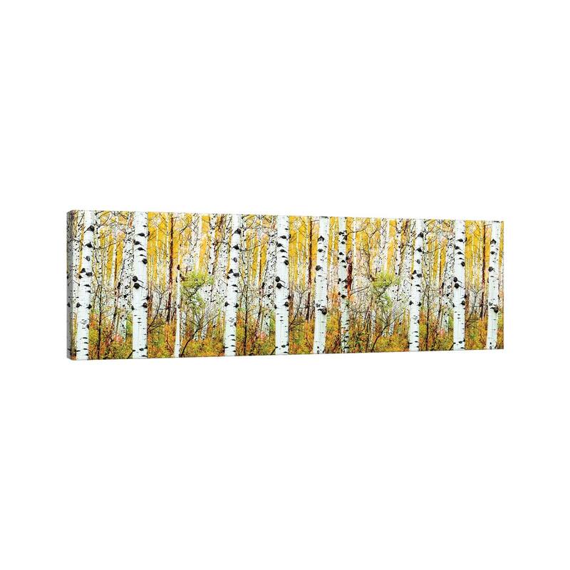 iCanvas "Aspen Trees Panorama ,Colorado" by Susanne Kremer Canvas Print