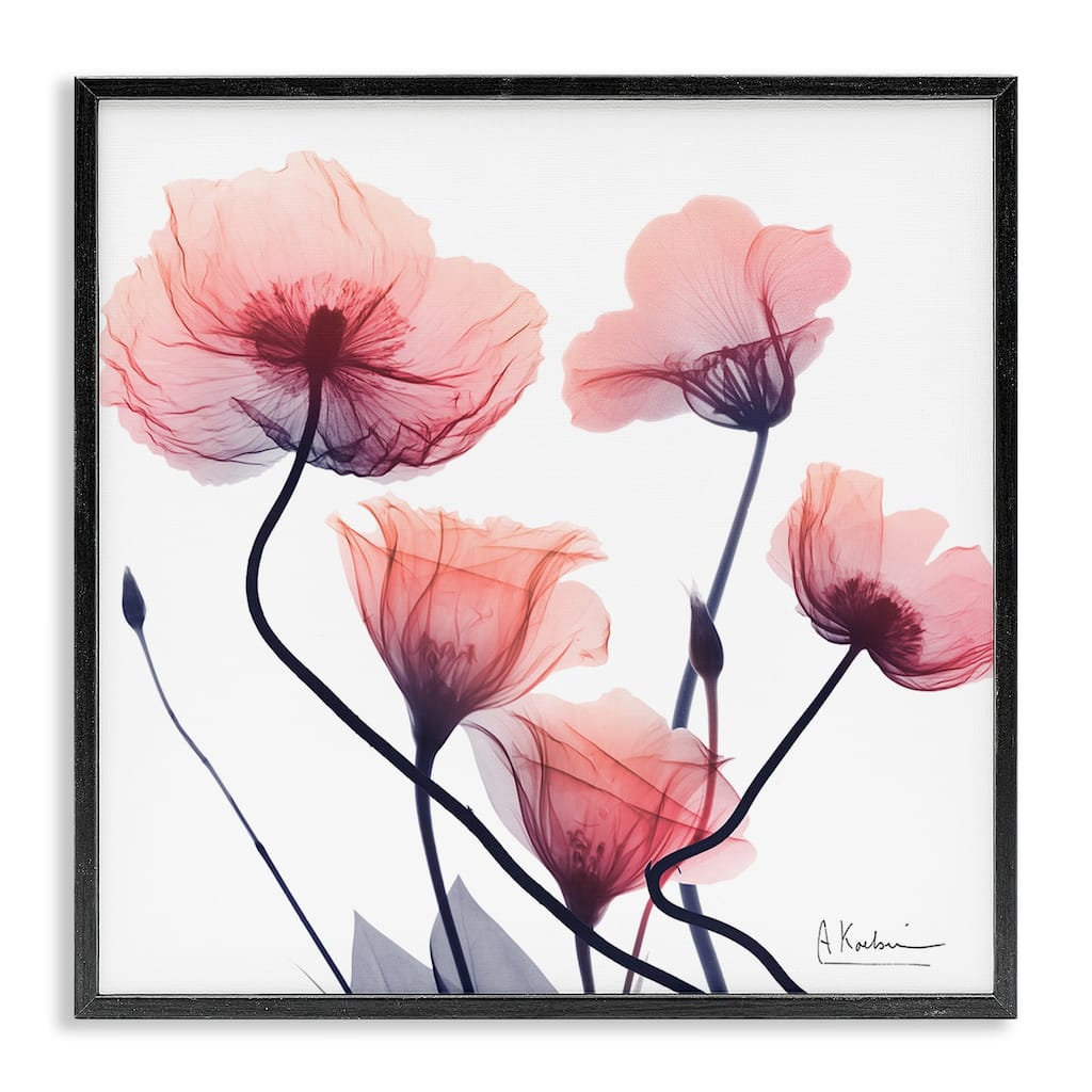 Stupell Pink Chic Simple Flowers Framed Giclee Art Design By Albert Koetsier