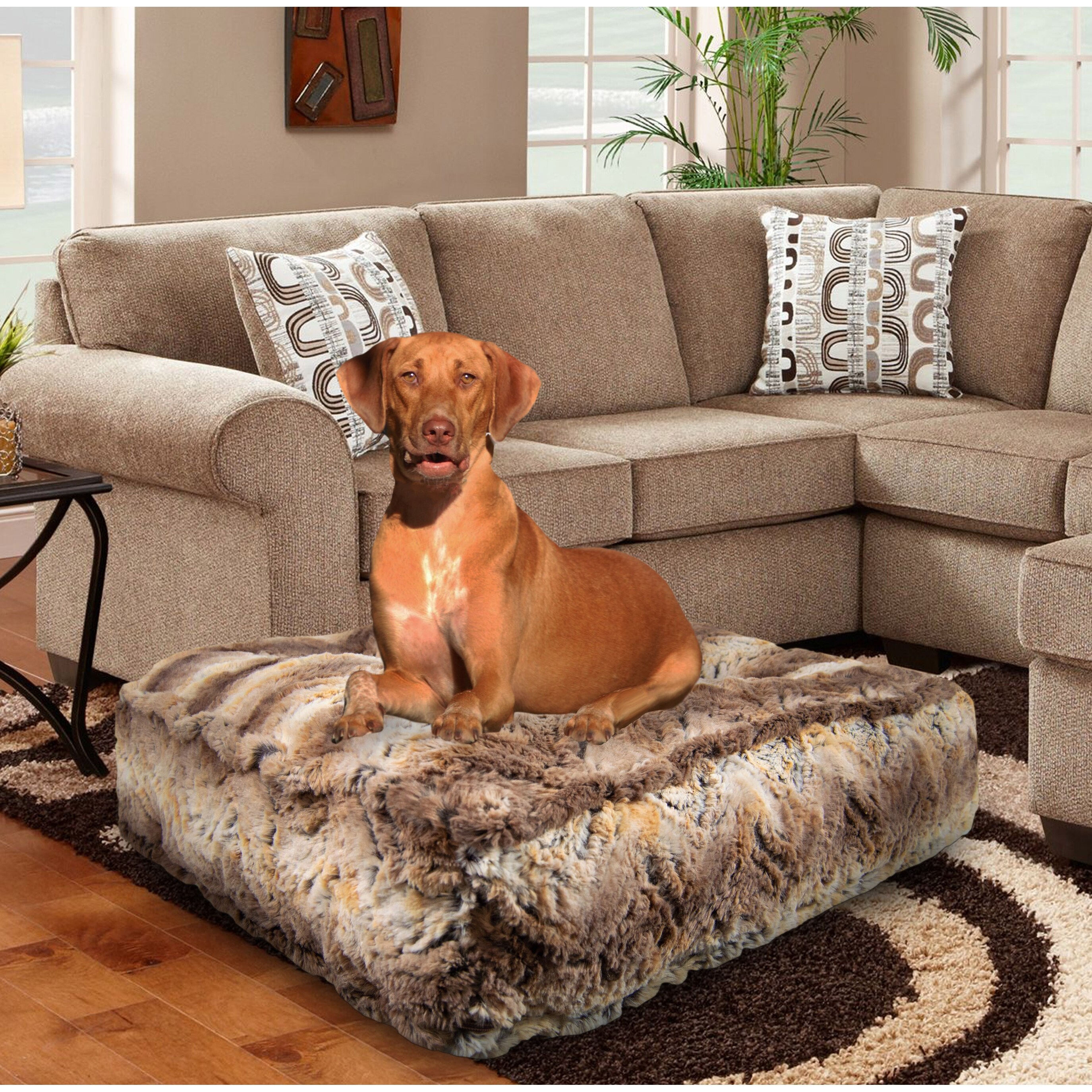 rectangle dog bed