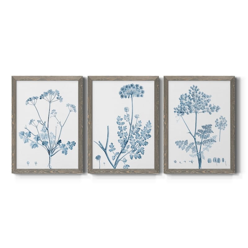 Antique Botanical in Blue IV-Premium Framed Canvas - Ready to Hang - Multi-Color - 18X24 - Grey
