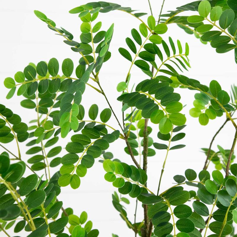 6' Artificial Greco Citrus Tree with Real Touch Leaves - Green