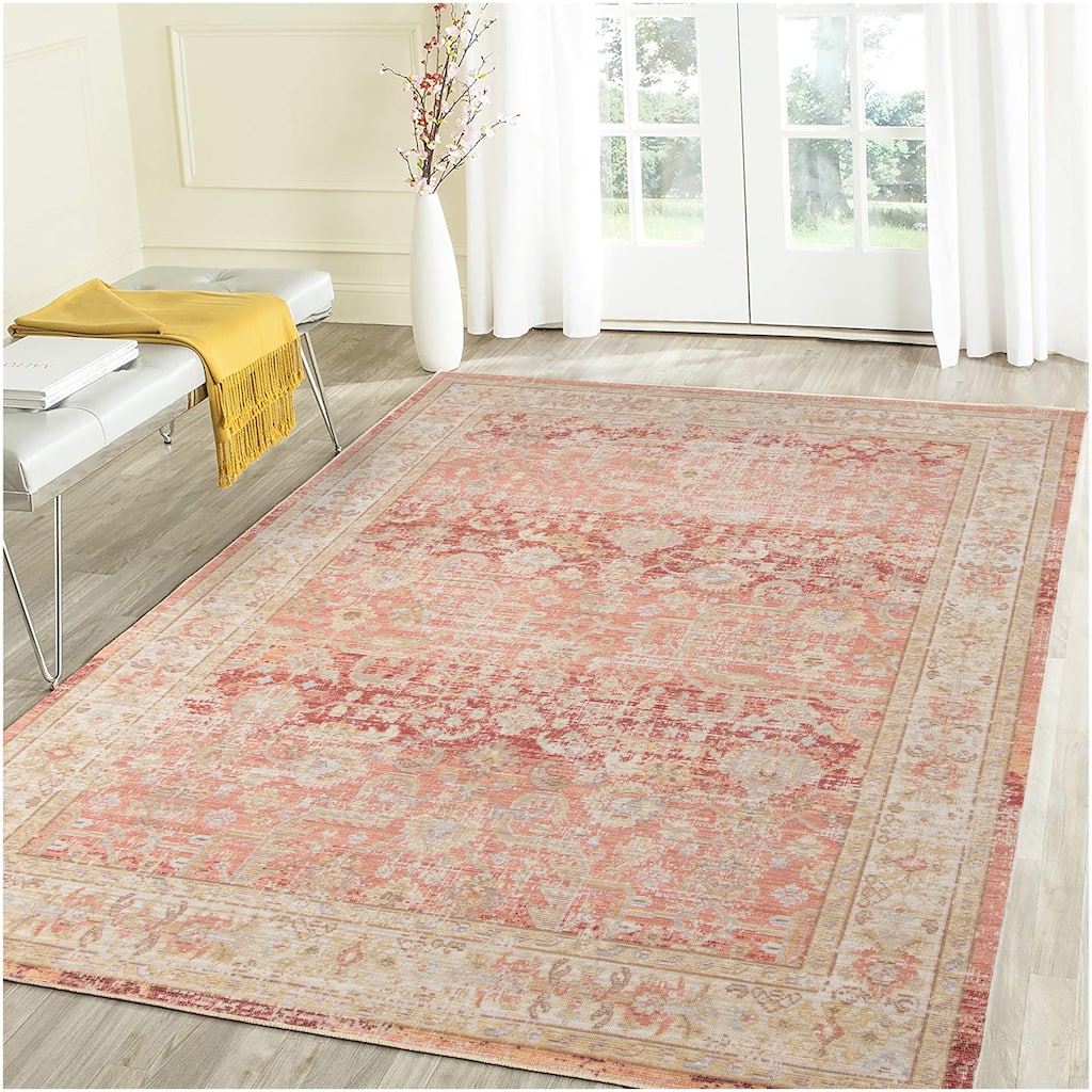 Aurelia Sina Bordered Area Rug