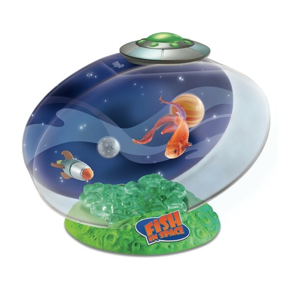desktop aquarium toy