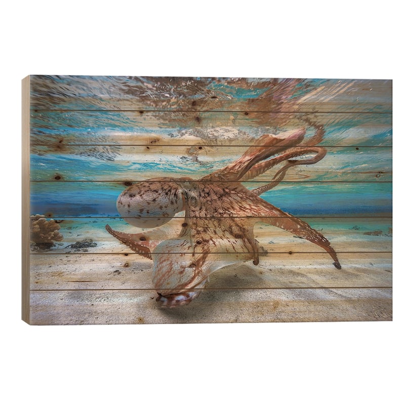 Dancing Octopus Print On Wood by Barathieu Gabriel - Multi-Color - 18x26x1.5