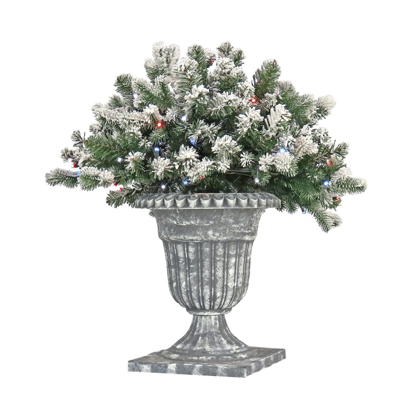National Tree Company 24 in. Snowy Sheffield Spruce Porch Bush with Twinkly LED Lights - 2 ft
