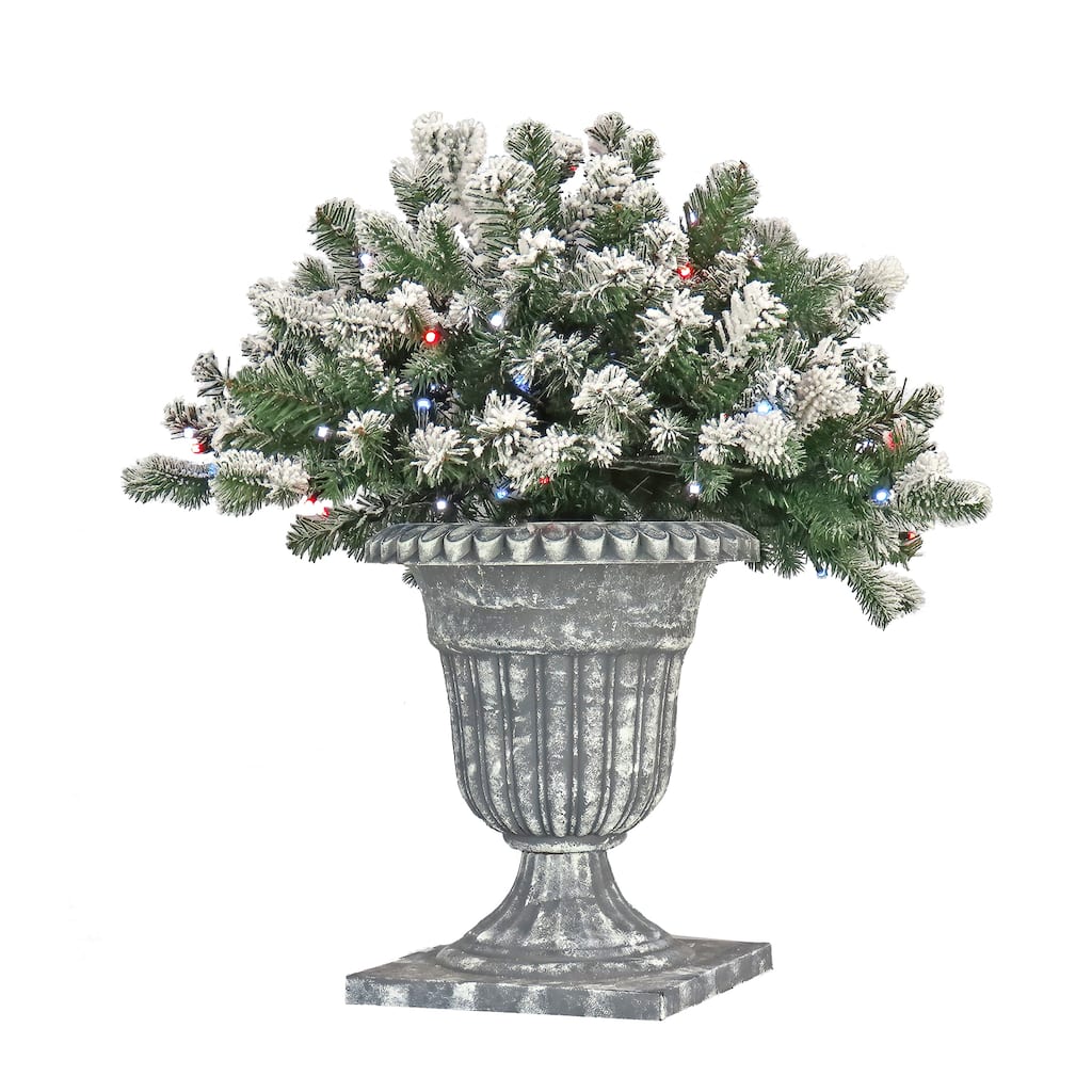 National Tree Company 24 in. Snowy Sheffield Spruce Porch Bush with Twinkly LED Lights - 2 ft